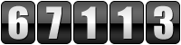 website hit counter