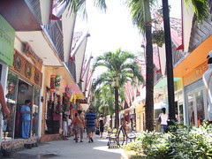 DSC07140.JPG