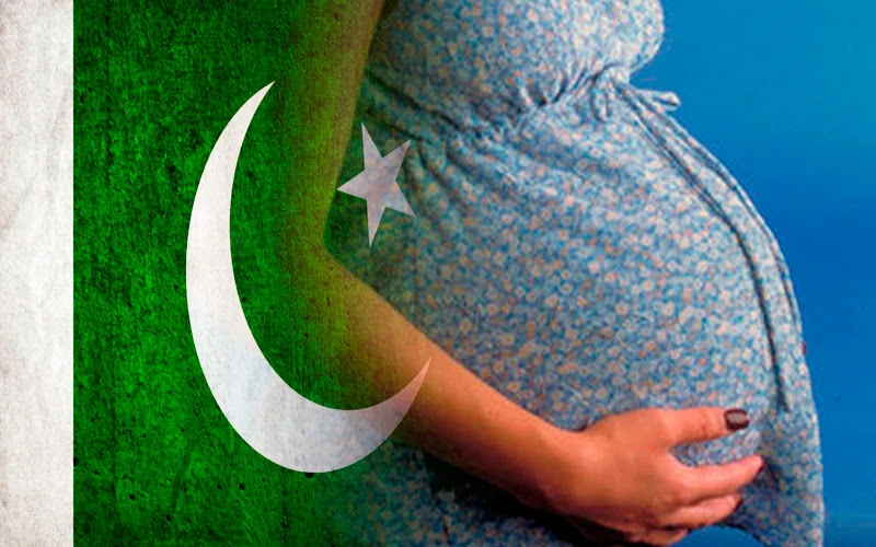 Imagen referencial. Foto: Ken Hammond (USDA) / Dominio Público