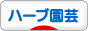 にほんブログ村 花ブログ ハーブ園芸へ