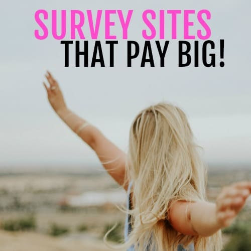 10 Online Survey Sites that Pay Big! - seaside sundays