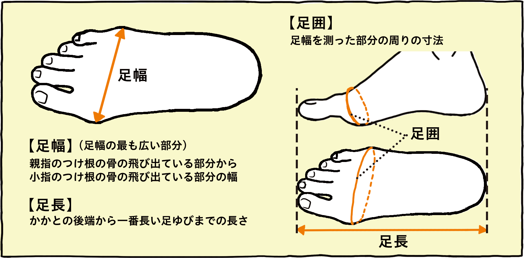 あなたの足は本当に幅広 甲高 知っておきたい自分の足の特徴と 靴選びのコツ 足のお悩み百科