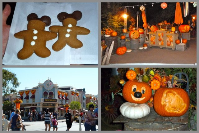 Disney Magic collage