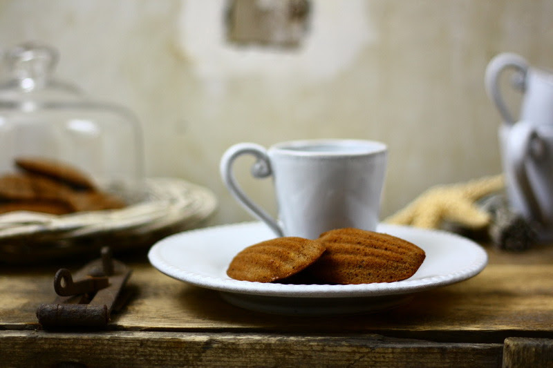 last-baudelaire:

noperfectdayforbananafish:

Cocoa, ginger and orange madeleine | by bognarreni

Sweet madeleines of Proust’s childhood
