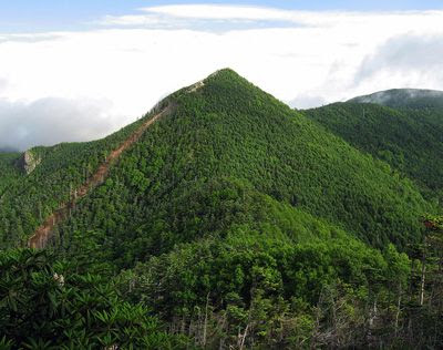 埼玉県の花の百名山 登山 トレッキングコース 人気ランキング 9件