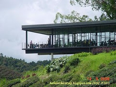 boh - sg palas09 tea centre3