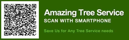 Tree Trimming NJ | Tree Company NJ | Tree Service NJ - Image