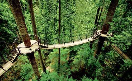 Capilano-Suspension-Bridge-Park-4