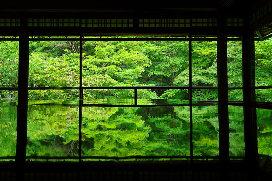 京都 初夏