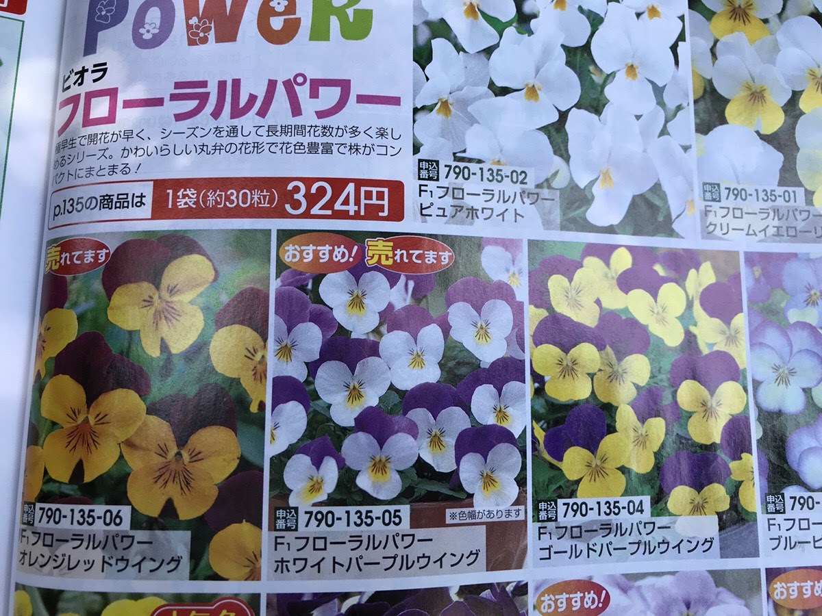 ビオラの種を採取しました F1のビオラから取った種はどうなる Hanana Tree