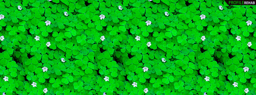 Green Clovers Facebook Cover St Patrick Day Images Pictures