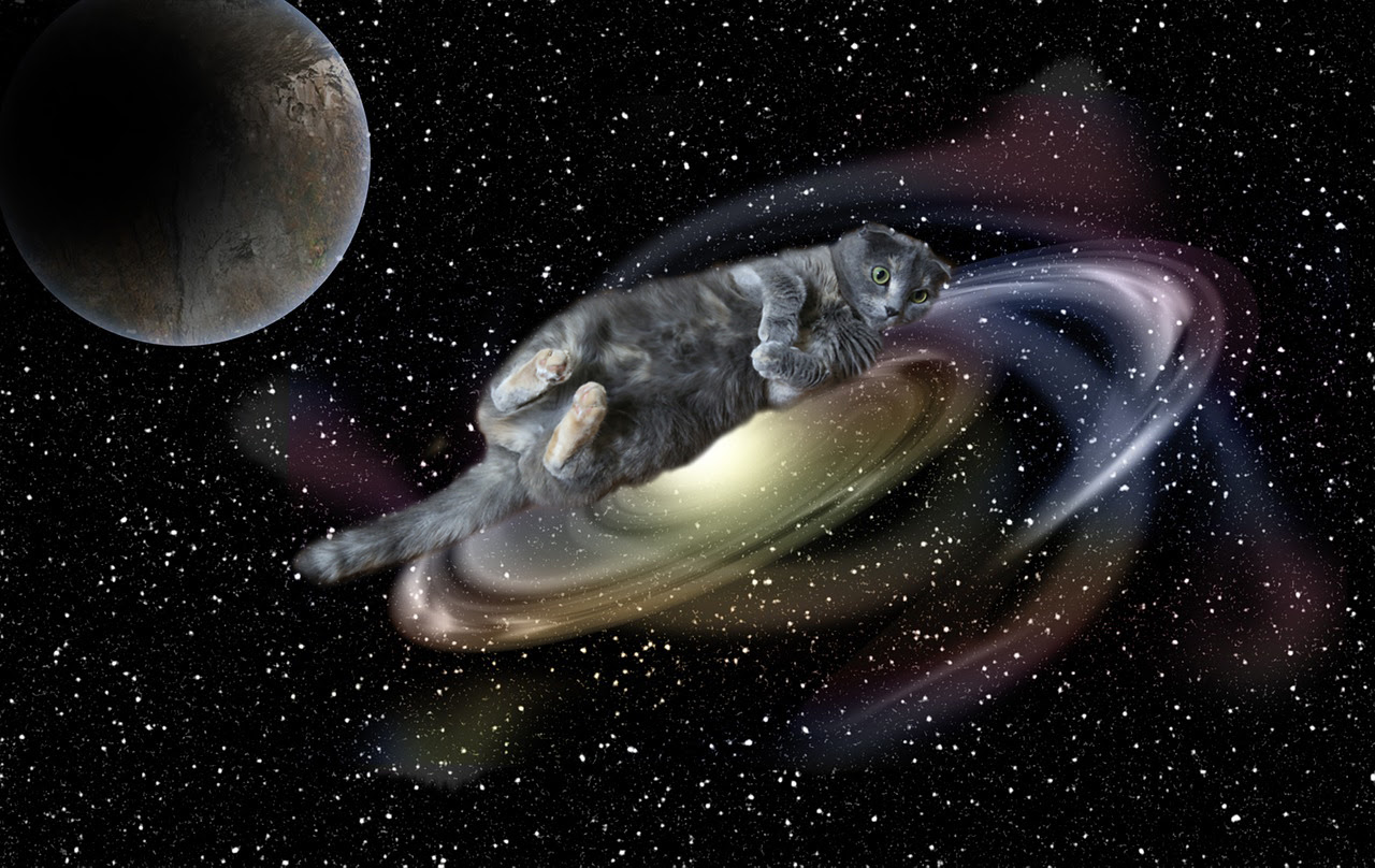 スペースキャットができた理由とは 愛猫を宇宙に合成する方法も紹介