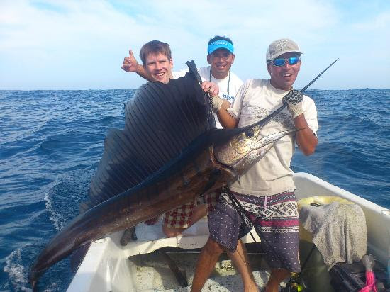 first sailfish of the trip!