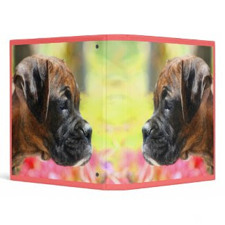 Boxer puppy binder binder