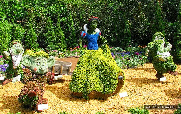 Flower_Festival_22