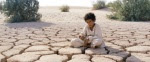 Foto de Lobo (Theeb)