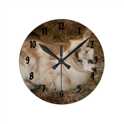 Furry small goat doeling baby right round wallclocks