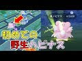 √ ハピネス ポケモンgo 736566-ハピナス ポケモンgo カ��ド