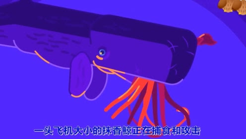 儿童英语过山车 腾讯视频