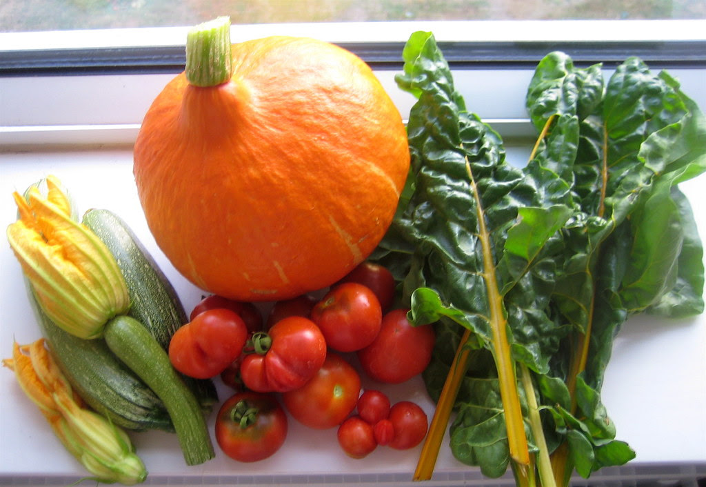 Veg of the day