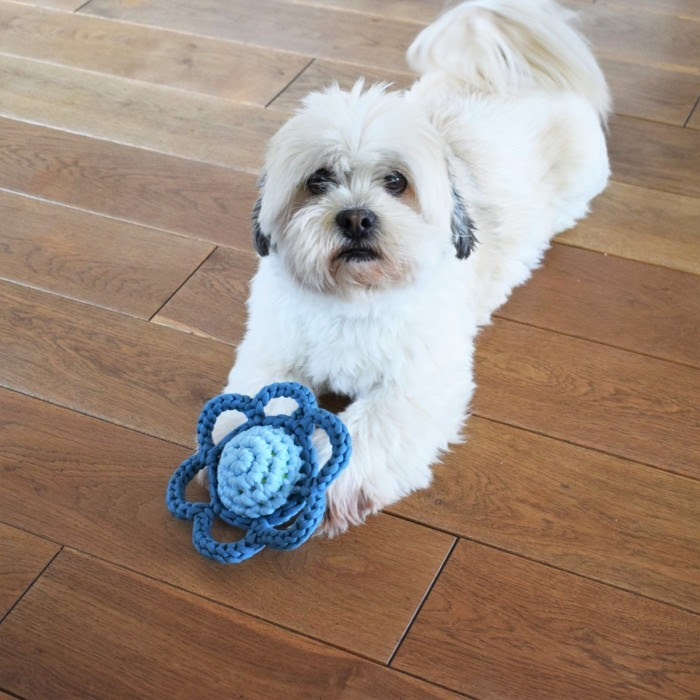Fleur u2013 Jouet pour chien  Modèles  - Hobbii.fr