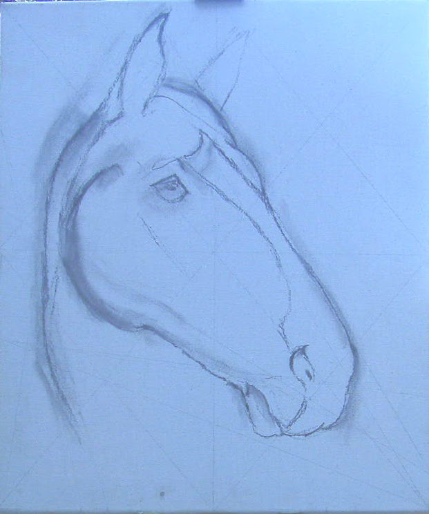 Portrait d'un cheval