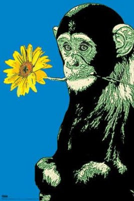 Steez (Monkey Flower) Art Poster Print - 24x36 custom fit with RichAndFramous Black 24 inch Poster Hangers