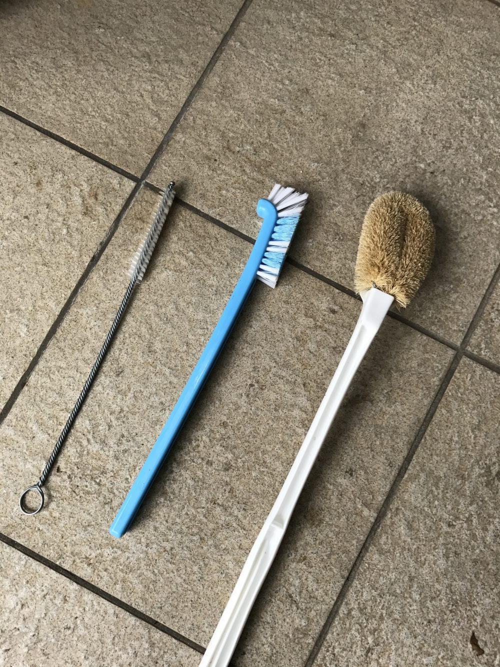 バラの枝が真っ白に バラについたカイガラムシ対策 ローズノート