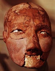 PlasterSkull