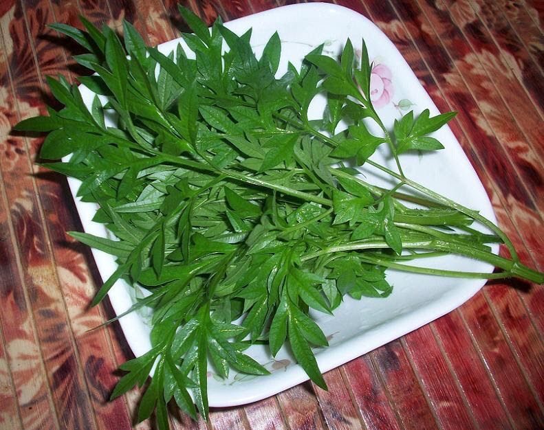 Cuci Darah dengan Ulam Raja - www.suhazeli.com