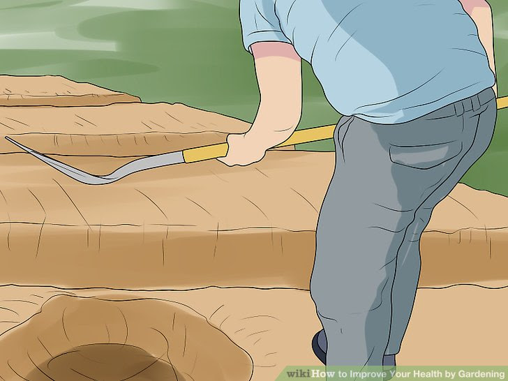 Improve Your Health by Gardening Step 5.jpg