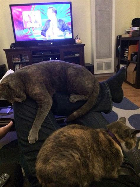 1 in 2 people will be diagnosed with cancer in their lifetime. Things Only People Who Love Cats Will Understand