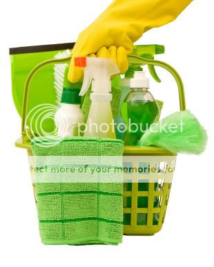 Green Cleaning Products