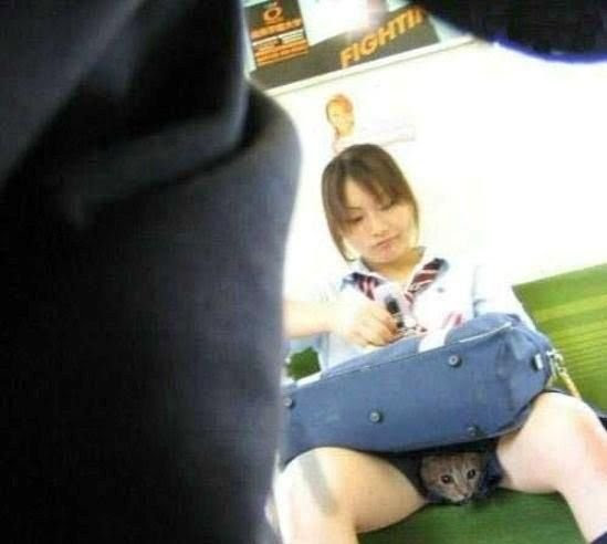 Japanese High School Girl Pussy Japanese High School Girl Pussy