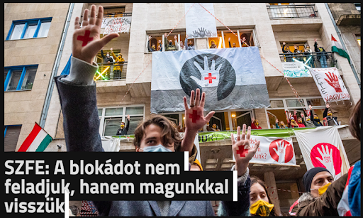 Kép