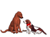Gifs Animados - Imagenes Animadas