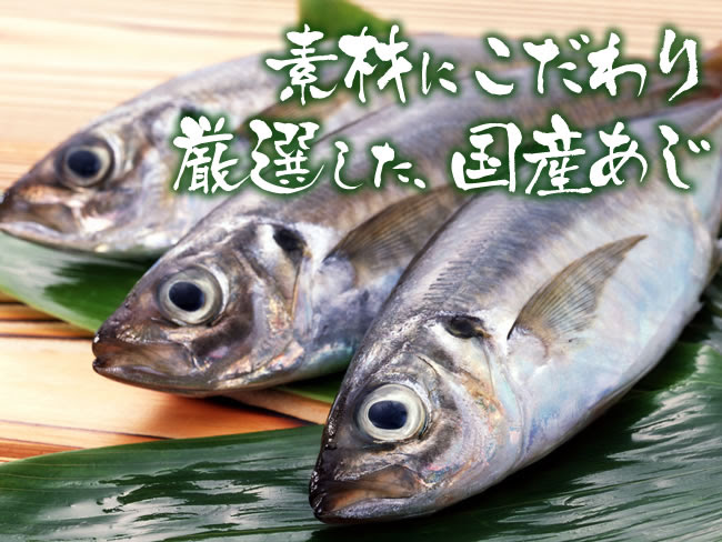 沼津港直送 アジの干物 大 全商品 干物 沼津港の極上干物 ひもの 魚永