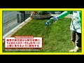 √完了しました！ 除草剤 ���生 179066-除草剤 芝生以外