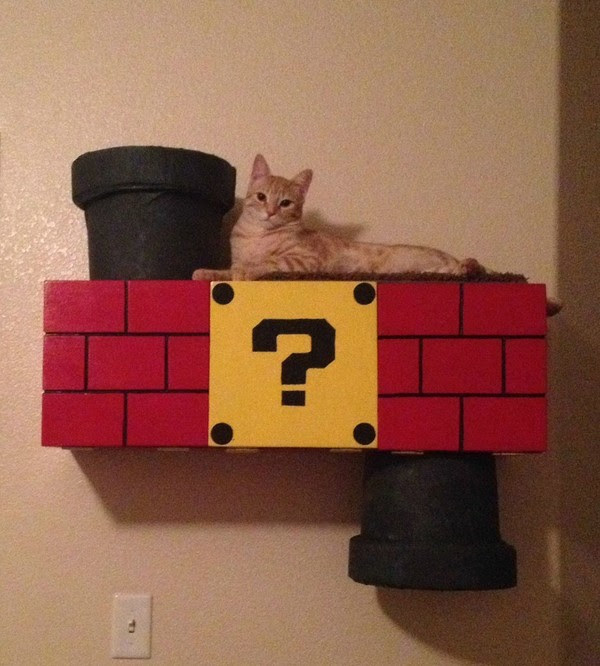 Casa Gato Super Mario Bros