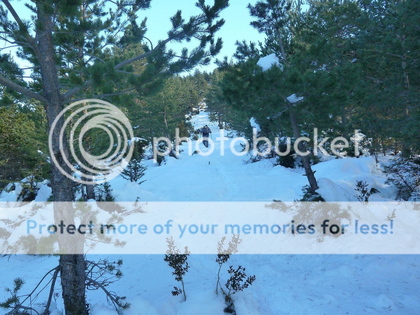 Photo Sharing and Video Hosting at Photobucket