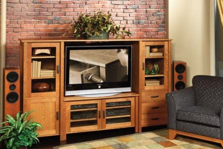 FREMONT MEDIA CABINET - traditional - media storage - seattle - by 