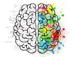 neuroscience learning content