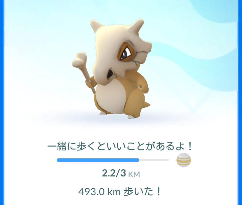 世界で一番カラカラが好きなクマ ろじねこ生活