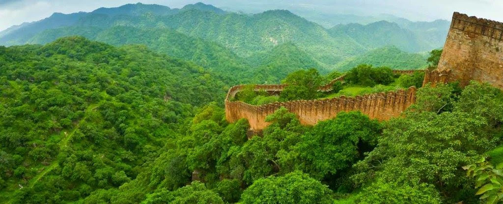 Ranthambore-tour