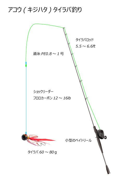 アコウ キジハタ の釣り方