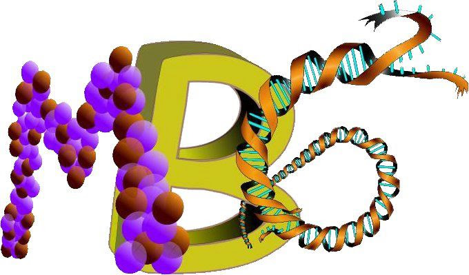 8 Uluslararasi Itu Molekuler Biyoloji Ve Genetik Kongresi Ari24