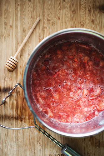 strawberryleather5 copy
