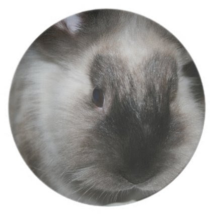 seal point rabbit head cute bunny photo dinner plates