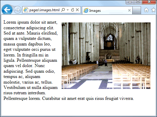Browser showing text wrapped around an image