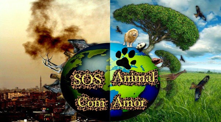 SOS Animal com Amor - Dicas sobre animais 